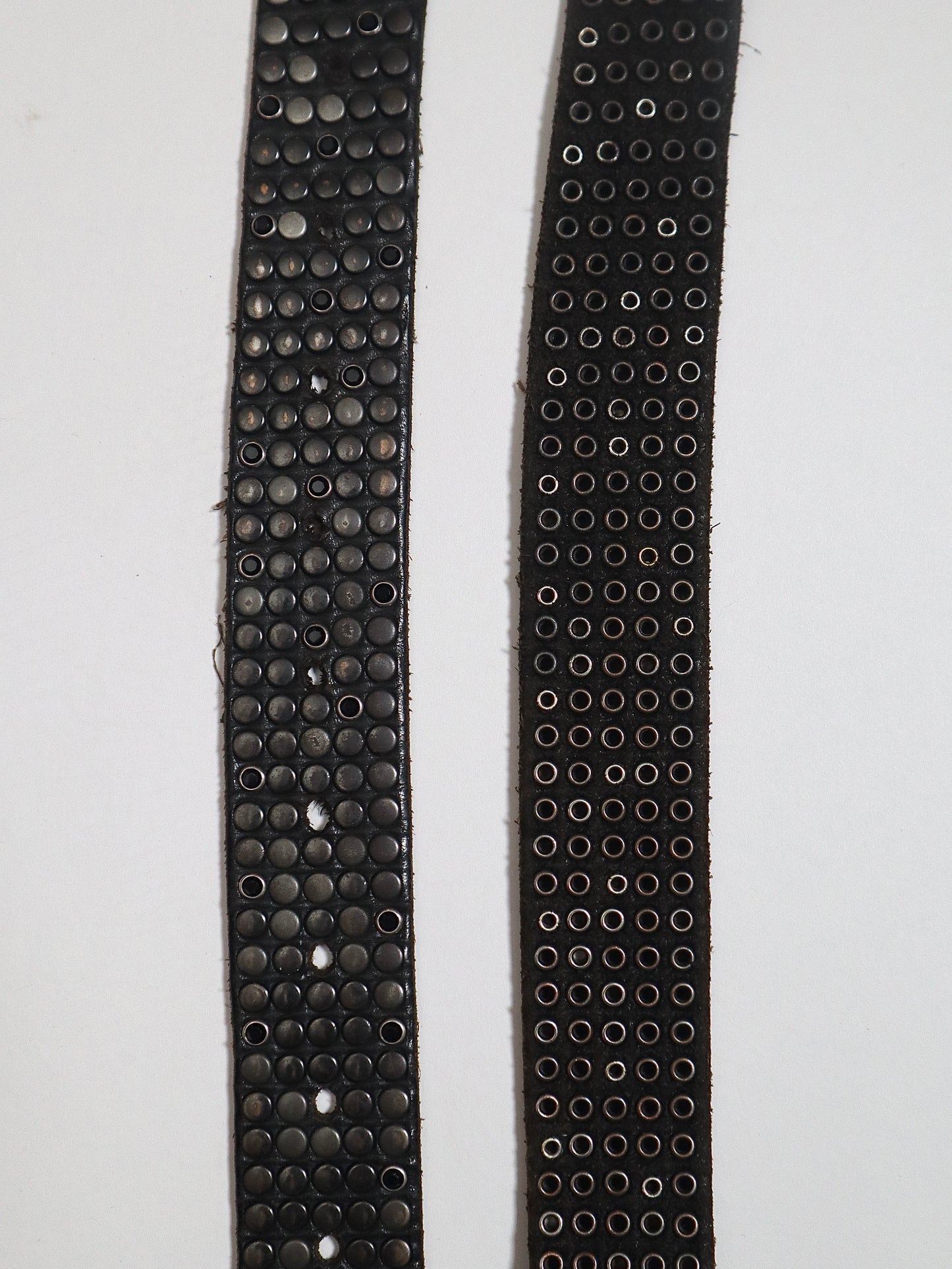 HTC STUDDED BELT