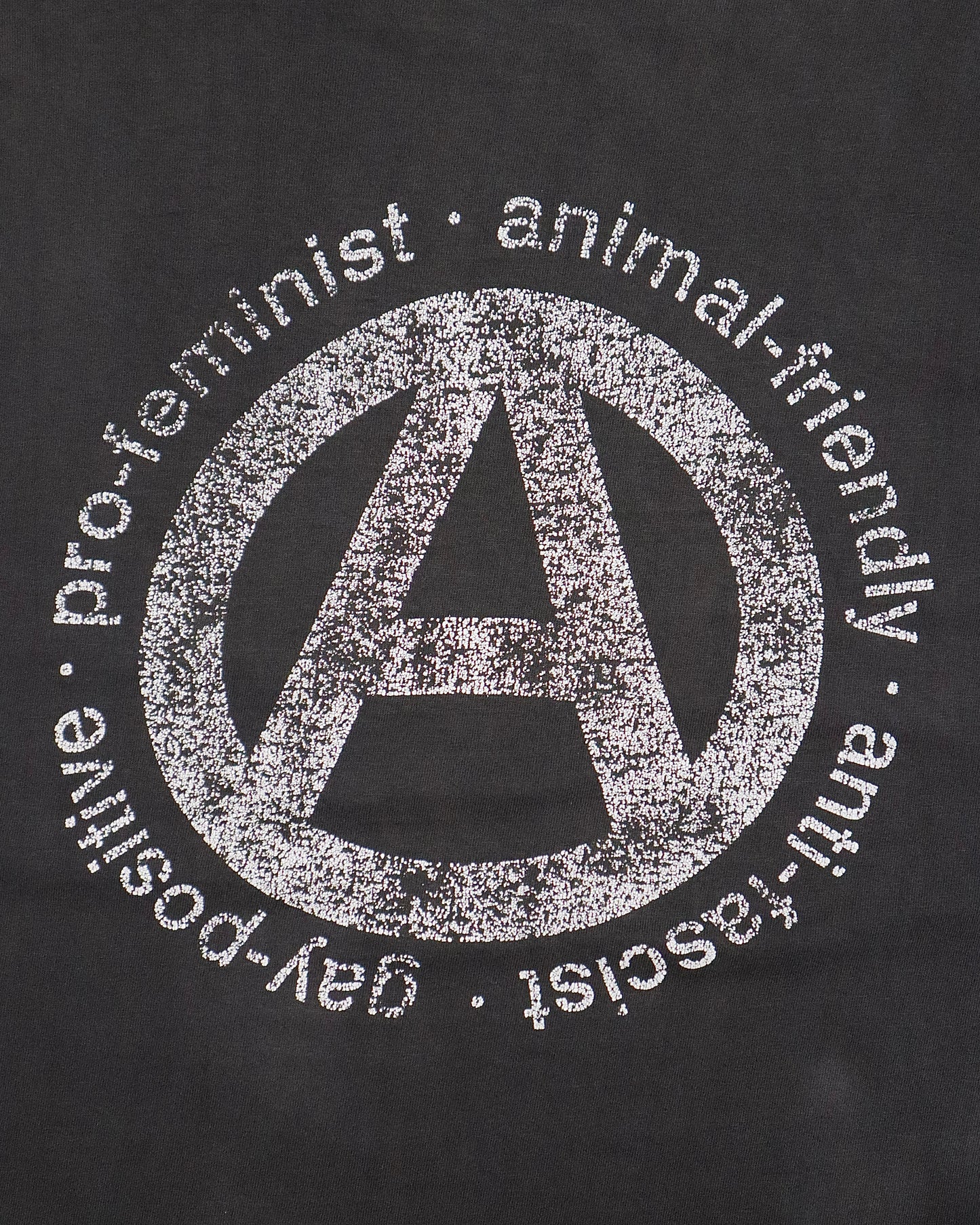 1980's Faded Single-Stitch Propagandhi Anarchy Tee
