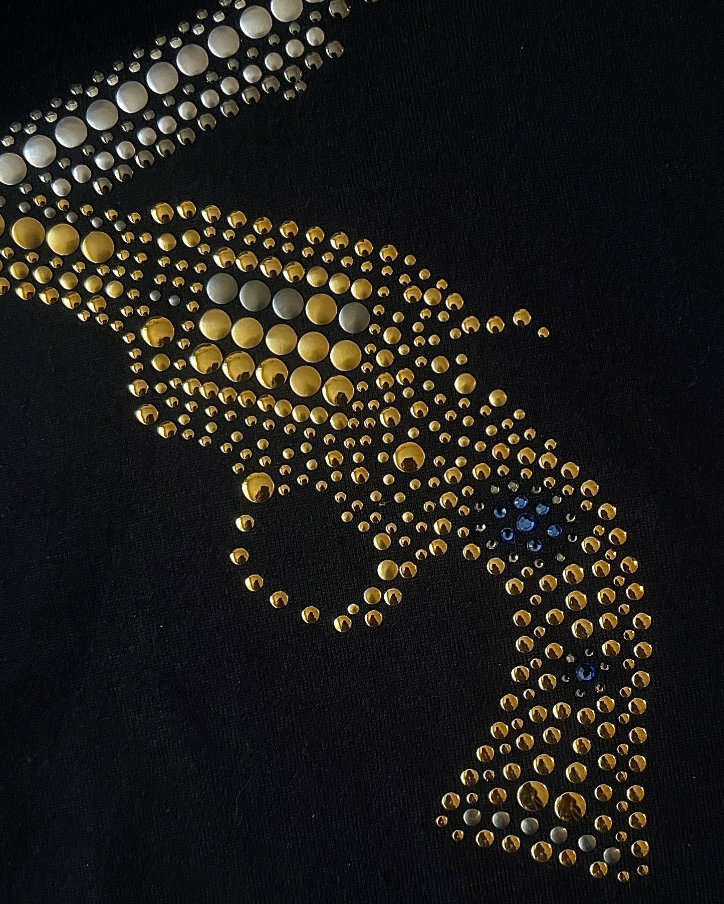 ROAR Double Studded Pistol Longsleeve