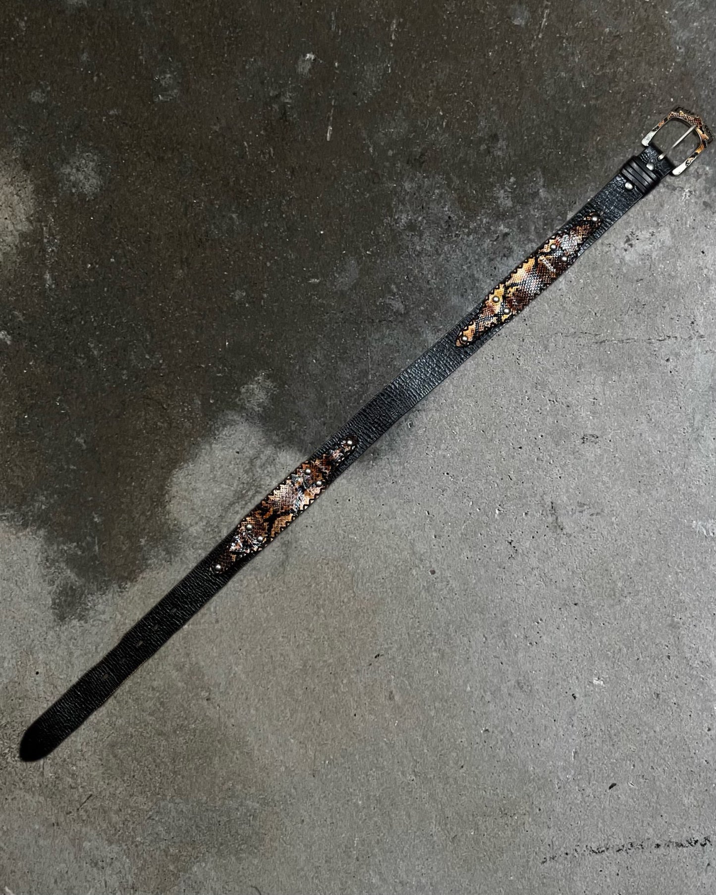 NCFM Python Belt